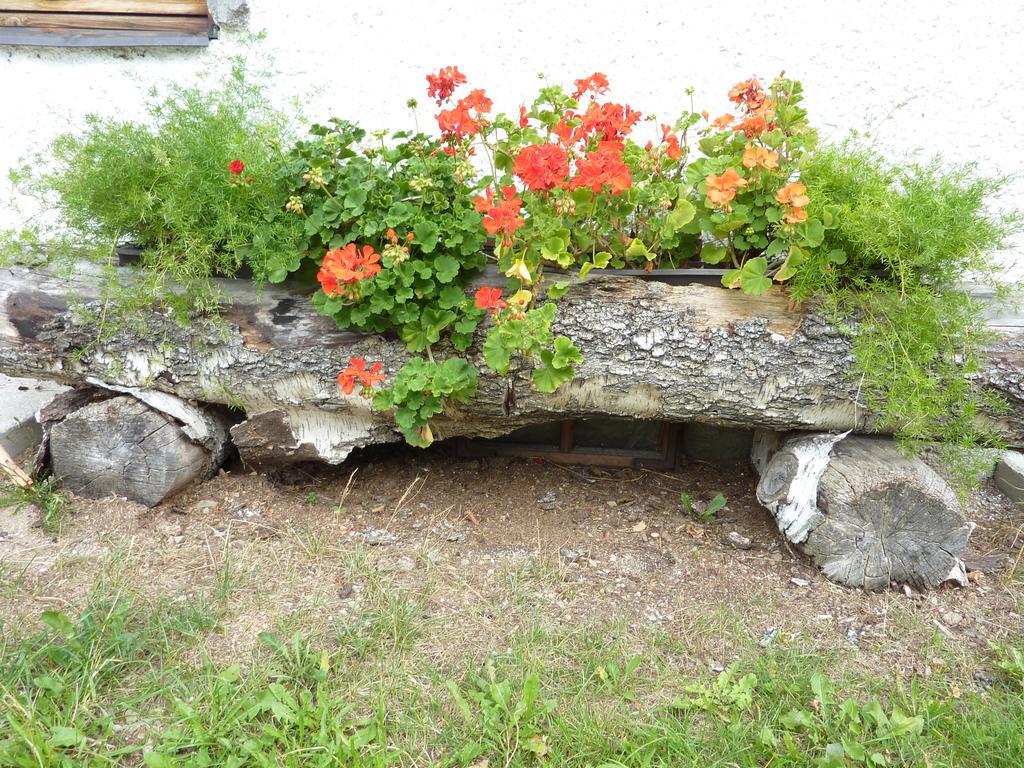 Bio-Bauernhof Rettenbachgut Werfen Εξωτερικό φωτογραφία